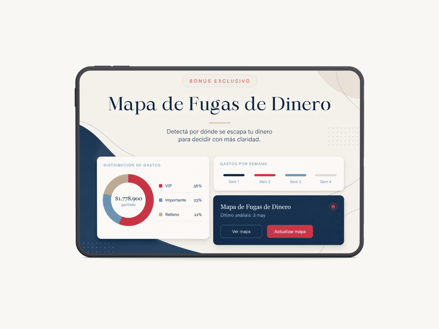 Mockup del Mapa de Fugas de Dinero